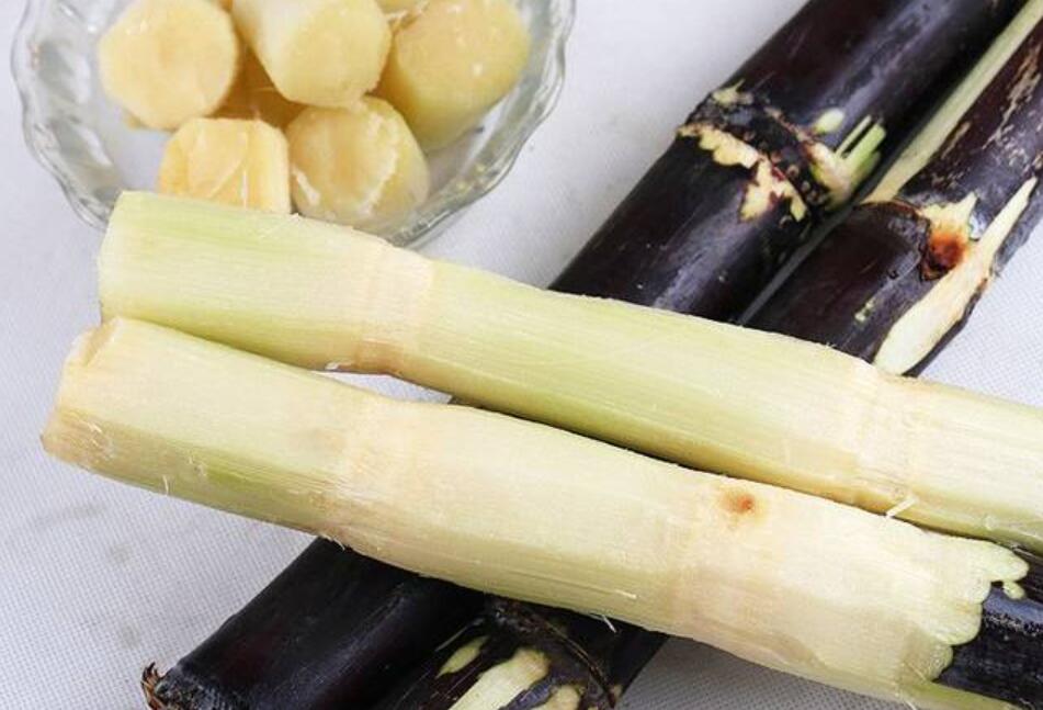 秋冬適合吃什么？南寧教美容養(yǎng)生的學(xué)校分享給你