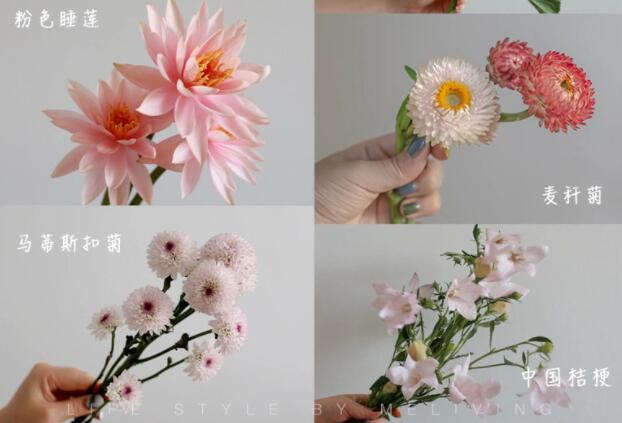 認(rèn)識常見花朵的名稱，廣西插花學(xué)?；ㄋ嚺嘤?xùn)基礎(chǔ)