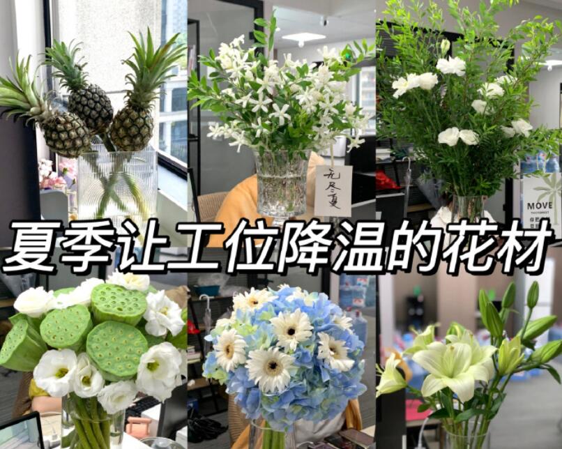 自帶降溫效果的花材，廣西學(xué)鮮花技術(shù)