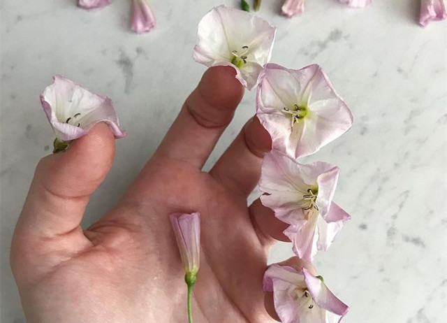 植物藝術(shù)美甲，南寧美甲造型設(shè)計(jì)培訓(xùn)分享